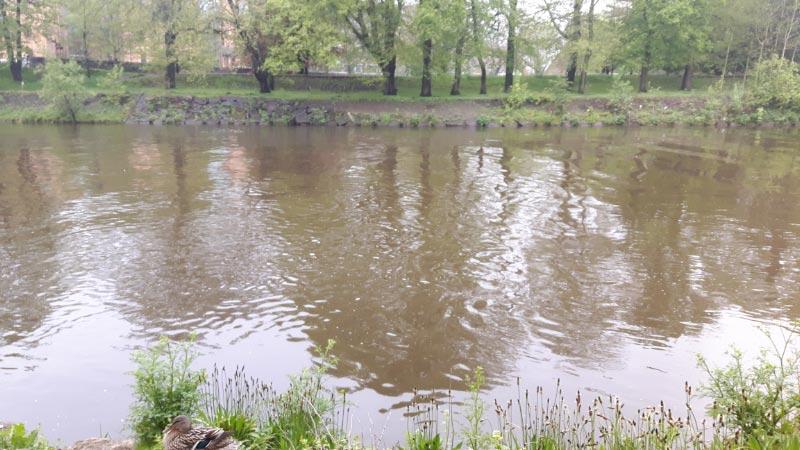 It was near the Royal Hotel James Lucas drowned whilst fishing in a coracle