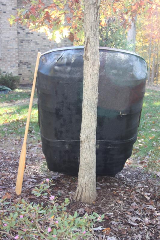 The finished coracle