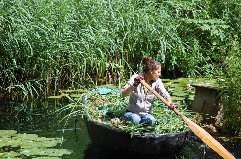 Coracle in use at NHM London
